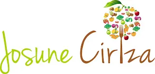 https://www.facebook.com/josunecirizaorientacionnutricional/