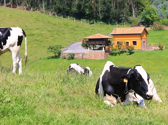 https://www.casajesusa.com
